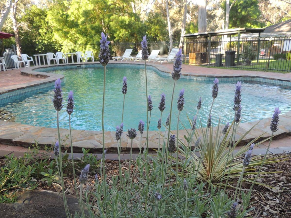 Belair National Park Holiday Park Exterior photo
