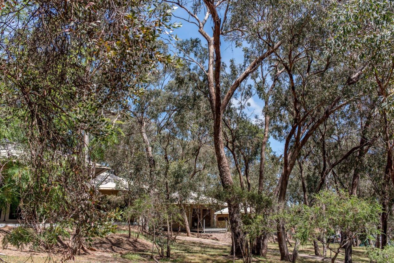 Belair National Park Holiday Park Exterior photo